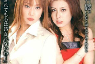 SHK-220 A Copyist Who Is A Criminal And A Female Writer Who Is Trained As A Student.