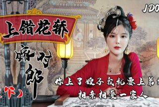 JD067 Marrying the Right Man in the Wrong Carriage 1080P — Xiao Nan