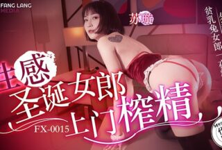 Sexy Christmas girl comes to squeeze cum