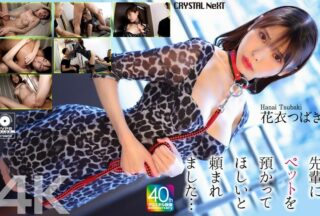 CRNX-254 [4k] My Senior Asked Me To Take Care Of His Pet… Tsubaki Hanagoromo