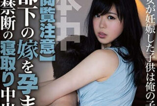 HND-529 Projection Of A Subordinate’S Wife And xxx Being Pregnant In A Forbidden Stolen Sleep