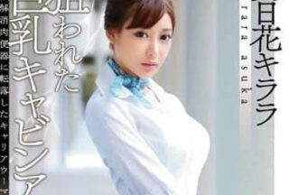 SNIS-576 Big Tits Sky Sister — Tomorrow Flower Box